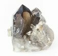 Smoky Quartz Crystal Cluster - Brazil #42028-1